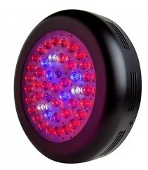 SUPER BRIGHT LEDS-GLB-84W-7B-